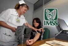 Afiliación voluntaria al IMSS para trabajadores independientes y personas sin empleo
