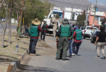 Dirección de Limpia refuerza trabajos de aseo en colonias de Juárez