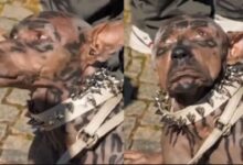 Video del supuesto “hombre perro” causa revuelo, pero fue creado con IA