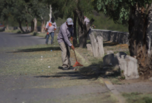 Realizan mantenimiento en camellones de la calle David Herrera Jordán