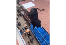 Toro que cae de una azotea y embiste personas resulta ser un video generado con inteligencia artificial